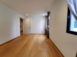 Binjai Park (D21), Semi-Detached #504051831